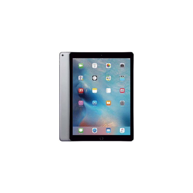 iPad Mini 2