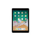 iPad 5th Gen