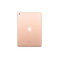 iPad 5th Gen